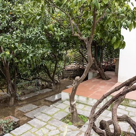 Apartment Villino